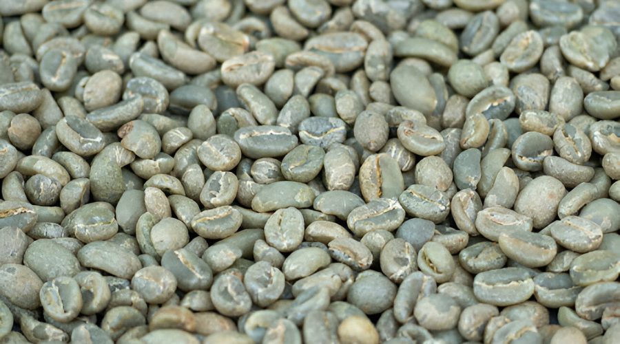 arabica 1